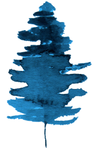 Arbre 01