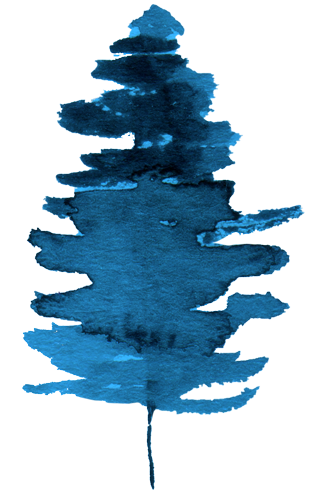 Arbre 01